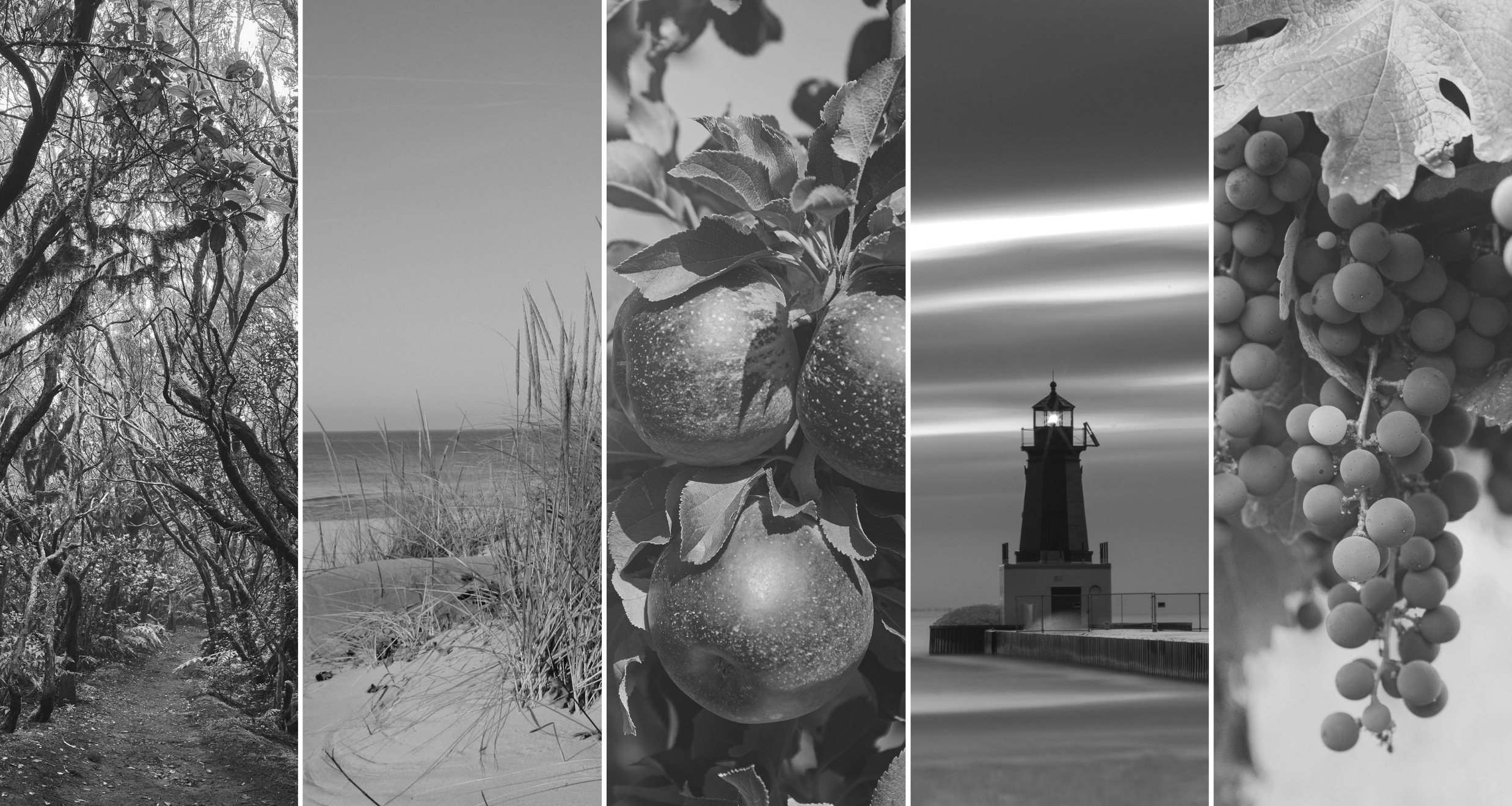 Hero banner image adoute